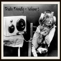 Radio Friendly (Vol 5) by John Cue
