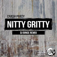 Crash Party - Nitty Gritty (DJ BiNGe Remix) by Crash Party