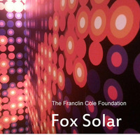 6.fox solar by Franclin Cole Foundation