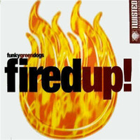 Funky Green Dogs Vs. DJ Dove &amp; Raul Cremona - Fired Up (Tommy Marcus Private Mash-Up) by Tommy Marcus