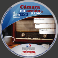 Cámara en Acción Radio 25 ENERO-2016 by Cámara de Comercio de Armenia y del Quindío