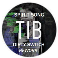 TIB - Spirit Song (DIRTY SWITCH rework).mp3 by DIRTY SWITCH