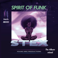 Stex - Spirit Of Funk - Album Mixed by Stex Dj