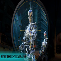 Bit Crusher - Terminator by Stex Dj