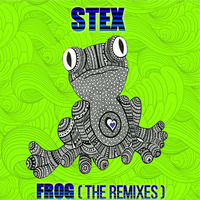 Stex - Frog - Decryptions Remix  by Stex Dj