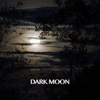 Blood Music Vol.3 Dark Moon by andy kennedy