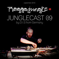 Junglecast 09 / 2016 - D.I.S by Raggajungle.biz