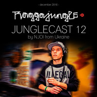 Junglecast 12 / 2016 - NJOI by Raggajungle.biz