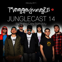 Junglecast 14 / 2017 - Numa Crew by Raggajungle.biz