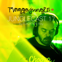 Junglecast 17 / 2017 - FLeCK by Raggajungle.biz