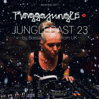 Junglecast 23 / 2017 - Bassline Beenie by Raggajungle.biz