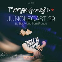 Junglecast 29 / 2018 - BadWeed by Raggajungle.biz