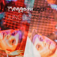 Junglecast 35 / 2019 - Mr. Kingston by Raggajungle.biz