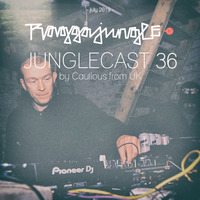 Junglecast 36 / 2019 - Cautious by Raggajungle.biz