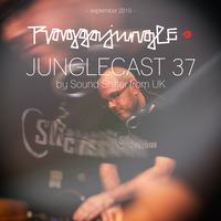 Junglecast 37 / 2019 - Sound Shifter by Raggajungle.biz