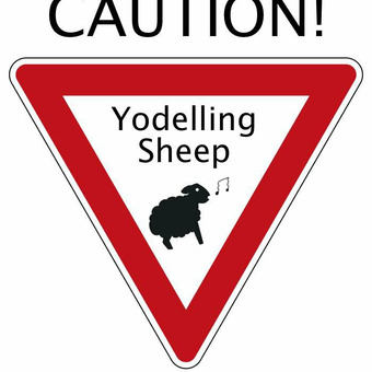 Yodelling Sheep
