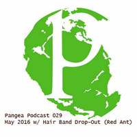 Pangea Podcast 029 - May 2016 w/ Hair Band Drop-Out (Red Ant) by Hair Band Drop-Out