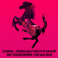 Conor L Horse Meat Disco warm up at The Twisted Pepper, Dublin, Feb 14th 2015 by Conor Lynch