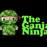 Ganja Ninja Vol 2 John Williams by john williams