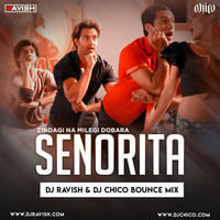 Zindagi Na Milegi Dobara - Senorit@ (DJ Ravish &amp; DJ Chico Bounce Mix) - Troll Edit by DJ Ravish & DJ Chico