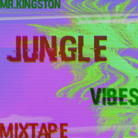 Mr.Kingston - Jungle Vibes Mixtape 2017 by Mr.Kingston