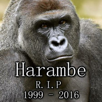 Harambe Lives In You! by QTHJ