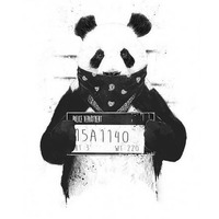 Panda (Tom Goldwin Remix 2016) by TomGoldwin OFFICIAL