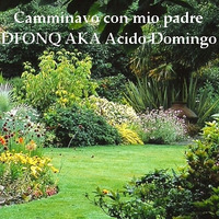 Dfonq - Camminavo con mio padre by Dfonq aka Acido Domingo