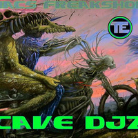 Insomniacs Freakshow 31 01 2016 Cave DJz by LvDs//MssTec