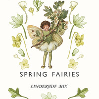 Spring Fairies - Fairyland Linderhof Mix by Linderhof