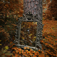 Autumn - Fairyland Linderhof Mix by Linderhof