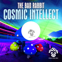 The Bad Rabbit - Cosmic Intellect (Original mix) Snippet by Prog Dog Records