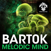 Bart0k - Melodic Mind (Original Mix) Snippet by Prog Dog Records
