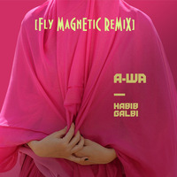 A-WA - Habib Galbi (Fly Magnetic Remix) by Xylenefree