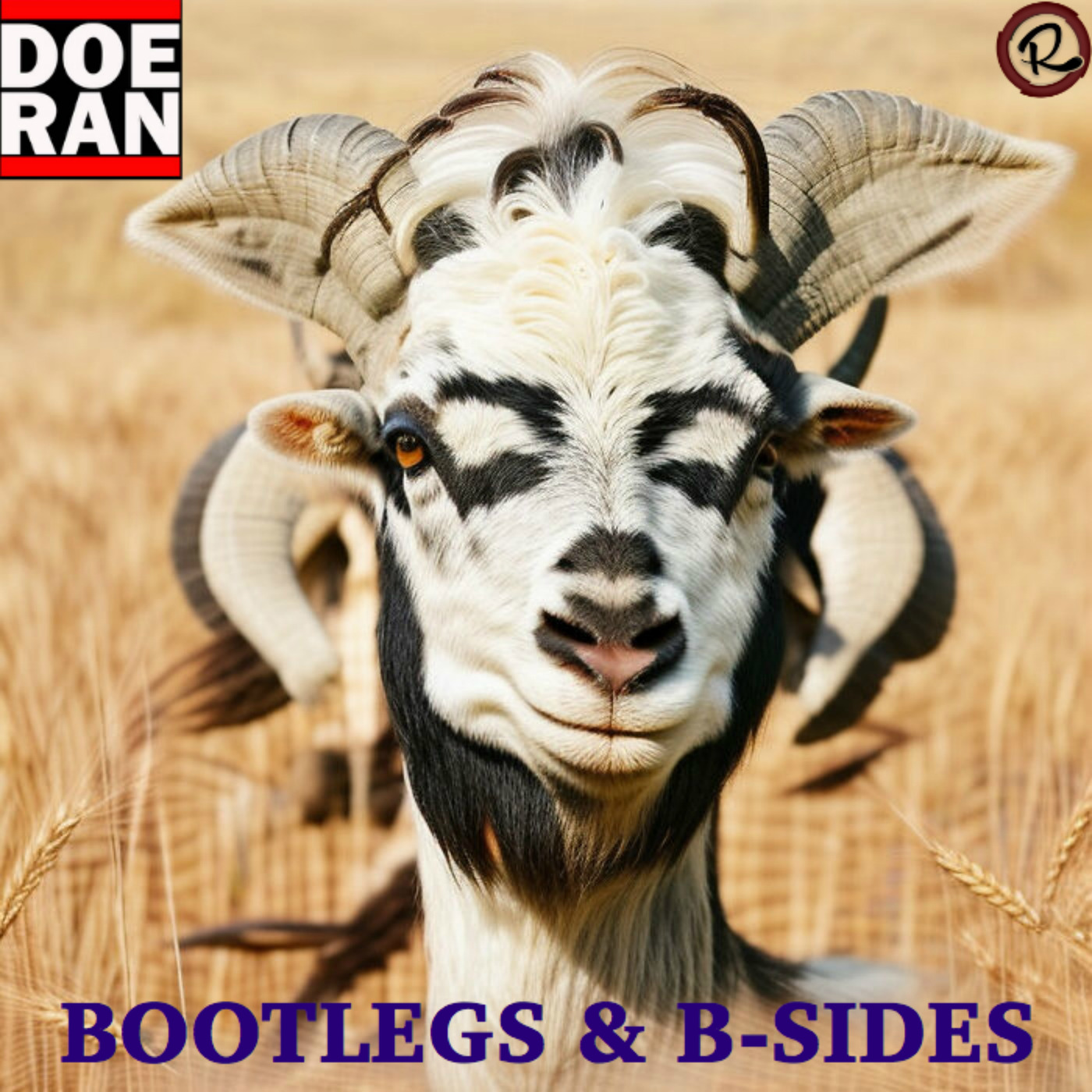Bootlegs & B-Sides - RapTz Radio Mix #110