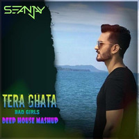 Tera Ghata (Bad Girls) Seanjay Deep House Mashup by DJ SEANJAY