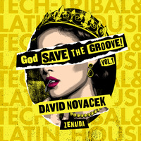 DAVID NOVACEK- Zenaida (Original Mix) by David Novacek