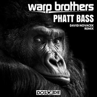 WARP BROTHERS- Phatt Bass (David Novacek Remix) by David Novacek