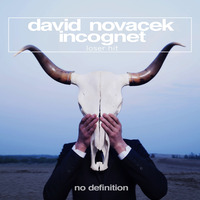 DAVID NOVACEK &amp; INCOGNET- Loser Hit (Original Mix) by David Novacek