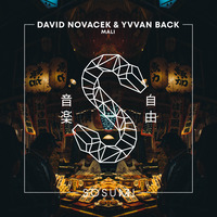 DAVID NOVACEK &amp; YVVAN BACK- Mali (Original Mix) by David Novacek