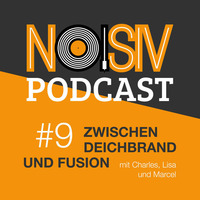 #009 Zwischen Deichbrand und Fusion by noisiv.de