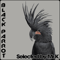 Black Parrot - Selected by Mr.K by ImPreSsiVe SoUNds with Mr.K