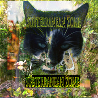 1555# Subterranean Zone radio presented by Infectious Unease Radio 03 12 23 &amp; 05 12 23 D&amp;B Dub Jungle Garage by INFECTIOUS  UNEASE RADIO DJ   & SUBTERRANEAN ZONE RADIO