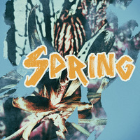 spring by VⱧɆł₴₴Ʉ77