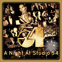 A Night At Studio 54 - Golden Disco Hits To Remember by Will☑️