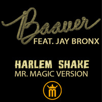Baauer feat  Jay Bronx - Harlem Shake  Mr  Magic Version by dj.mr.magic