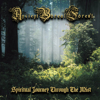 Ancient Boreal Forest - Spiritual Journey Through The Mist - 01 Amongst The Earth Shrine by Ancient Boreal Forest