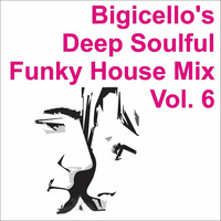 Bigicello's Deep Soulful Funky House Mix Volume 6 by Bigicello