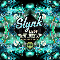 (2015) Slynk - LIVE @ Shambhala Fractal Forest by Slynk