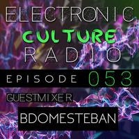  Secca Presents: Electronic Culture Radio #053 (BDOMESTEBAN Guestmix) by ALTREAL